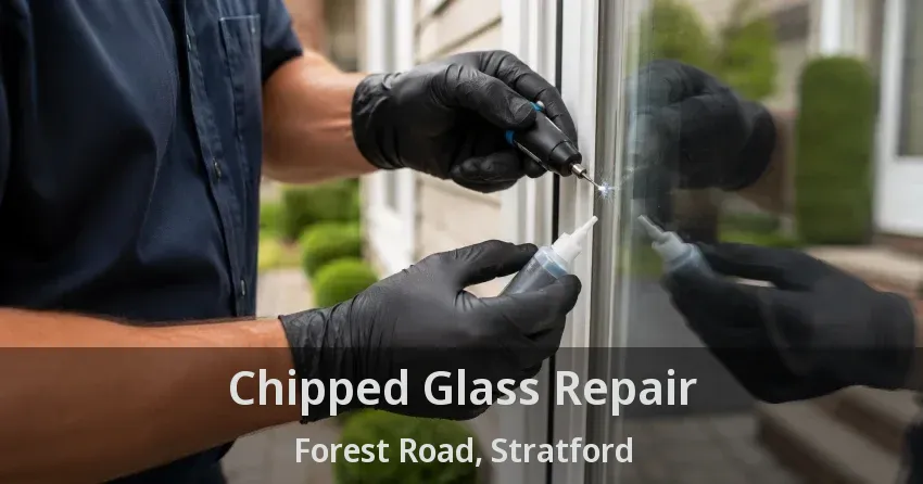 Chipped Glass Repair Forest Road, Stratford - ON
